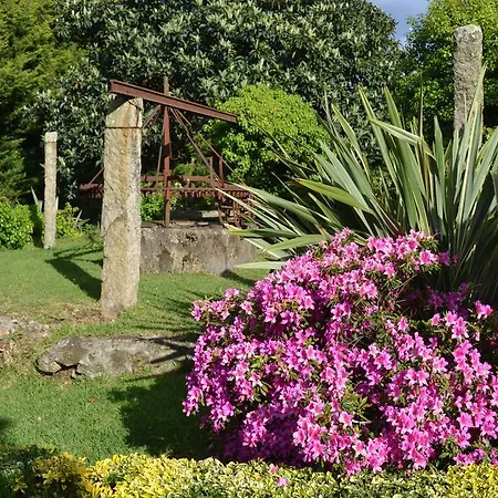 Our Lady Of Mercy * Ermesinde