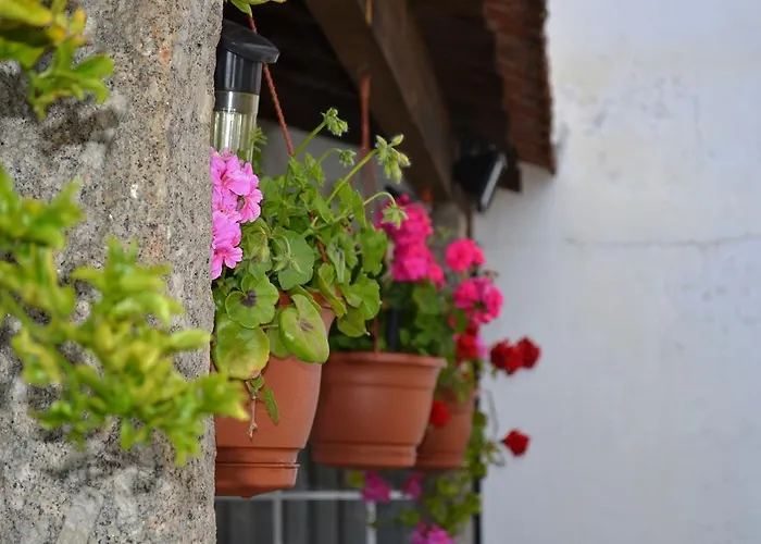 Villa Our Lady Of Mercy Ermesinde